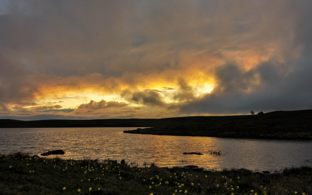 2018-05-01 aubrac