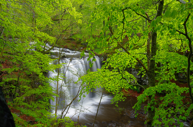 2018-05-01 aubrac (11)