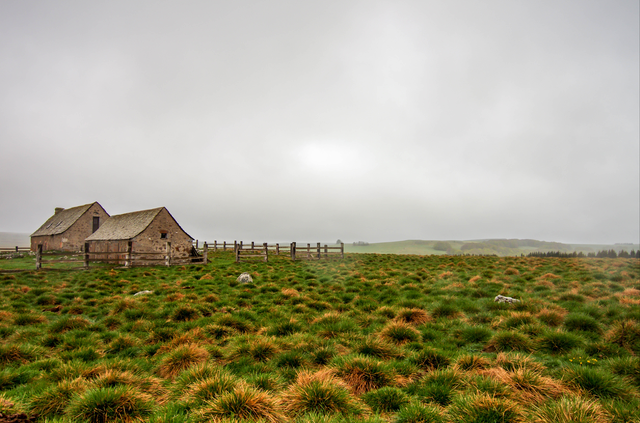 2018-05-01 aubrac (13)