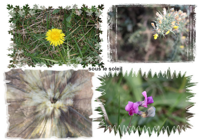 2026-02-28_203850 fast