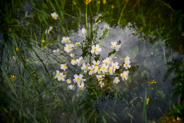 2026_1blog_expomultiple1