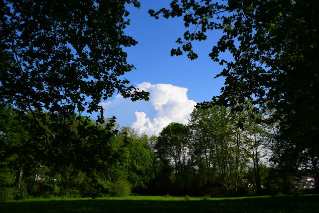2026_nuage_parcdesbergesblog