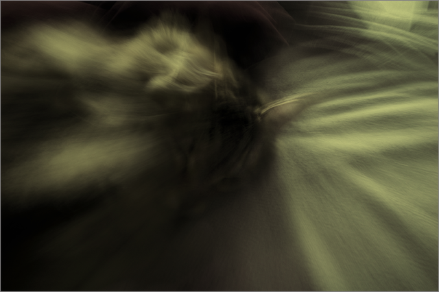 A la manière de Dolorès