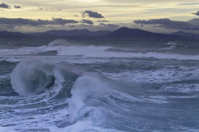 Biarritz 21 Janvier 2026_2