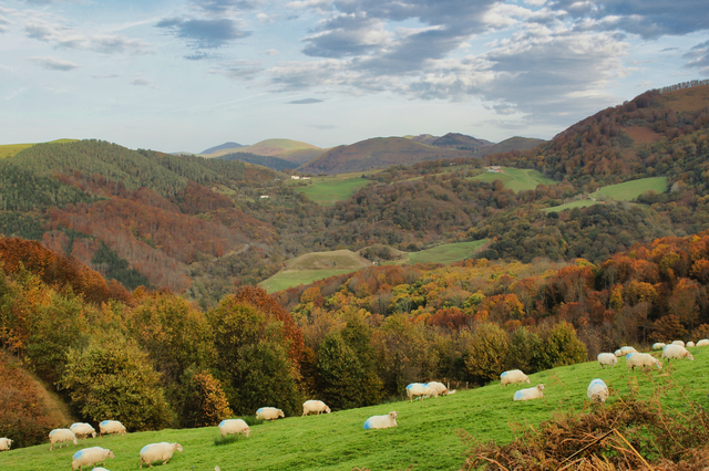 BaZtan 2015 SONY DSLR-A700 ƒ/9,5 1/90 28 mm 100 ISO