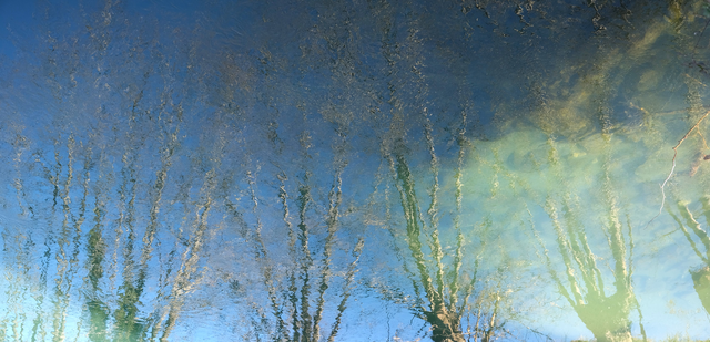 Reflets