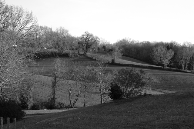 Campagne noir et blanc