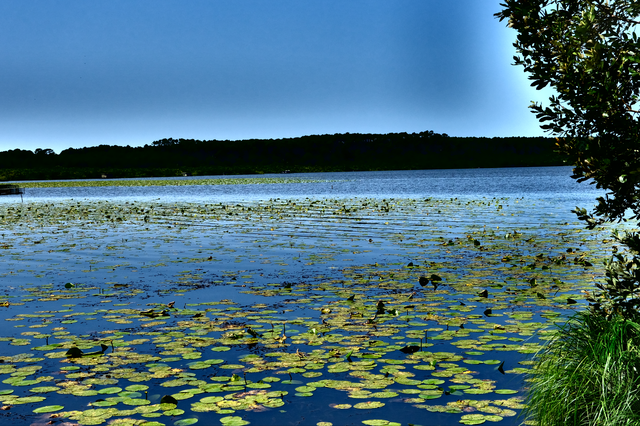 Lac de Léon