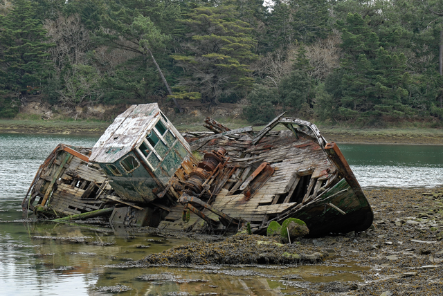 Sur les rives de l'Odet (Bretagne)