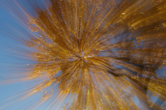 zooming au lac de St Pée