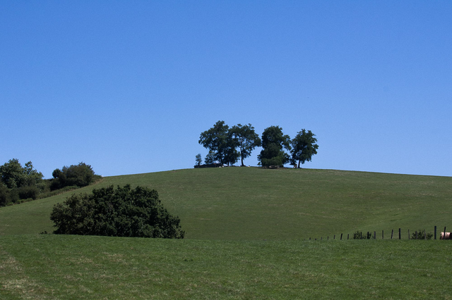 Là haut sur la colline.