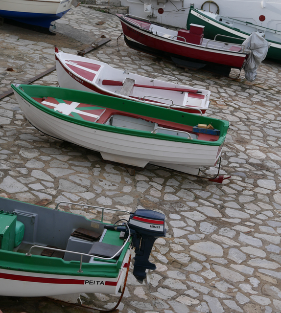 P1090992 (2)