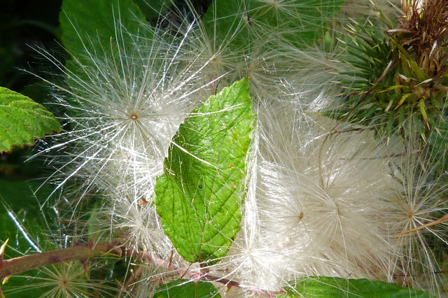 P1280805