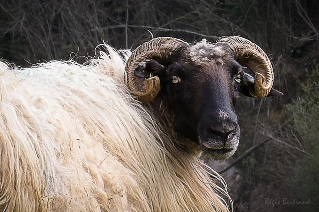 T'as d'beaux yeux tu sais...