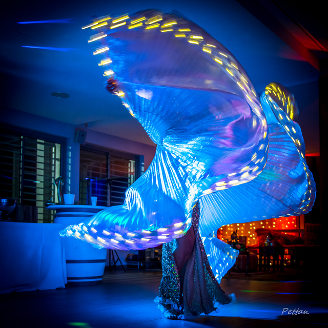 Papillon de nuit...