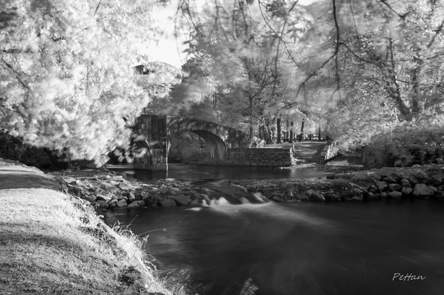 RB_2025_10_infrarouge-5