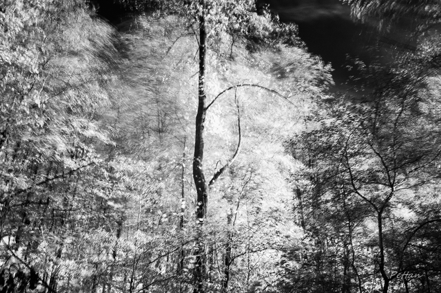 RB_2025_10_infrarouge-2