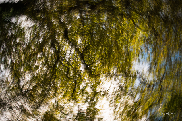 RB_2025_10_infrarouge