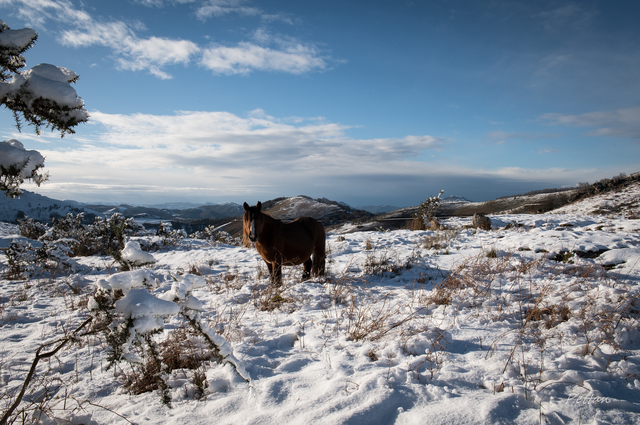 RB_2025_11_neige_gorramendi-12