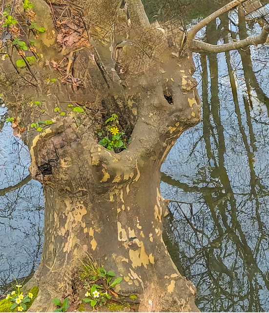 Un petit air de renouveau