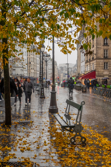 « paris-11-16»VL-2