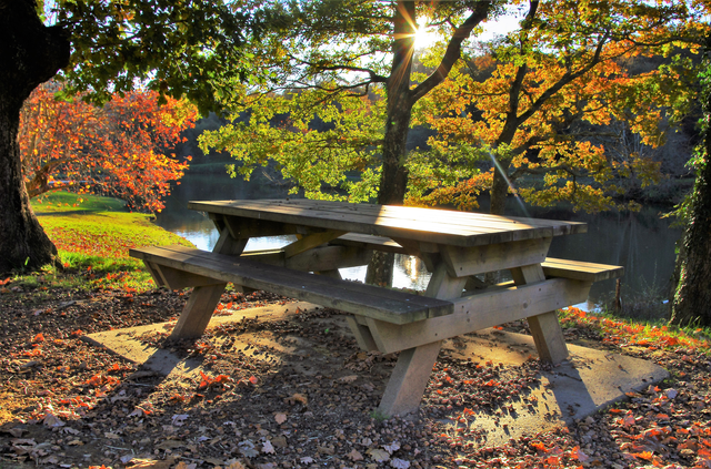 automne au lac de st Pée