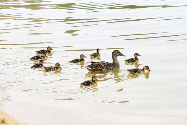 baignadenefamille_blog