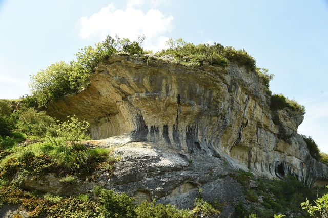 fozLumbier1