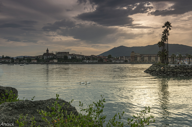 la promenade des cygnes