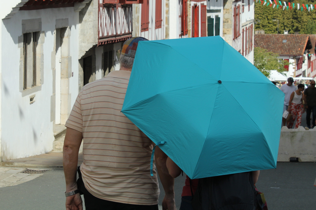 canicule