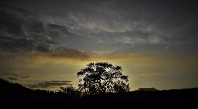 coucher de soleil