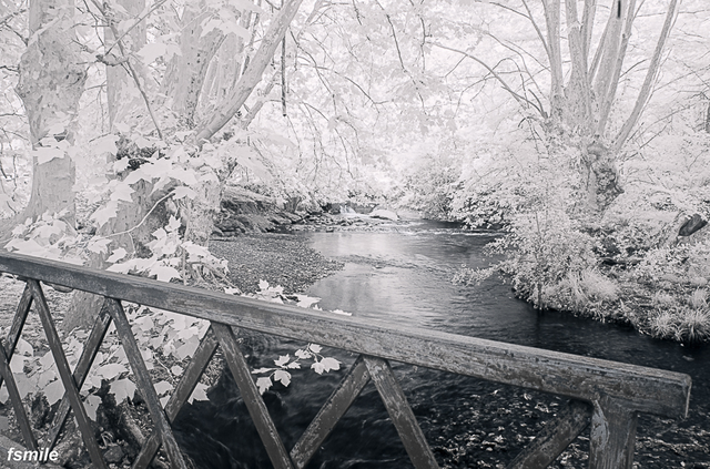 paysage-8